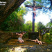 Via Dolorosa (Pinagmisahan Hills Antipolo)