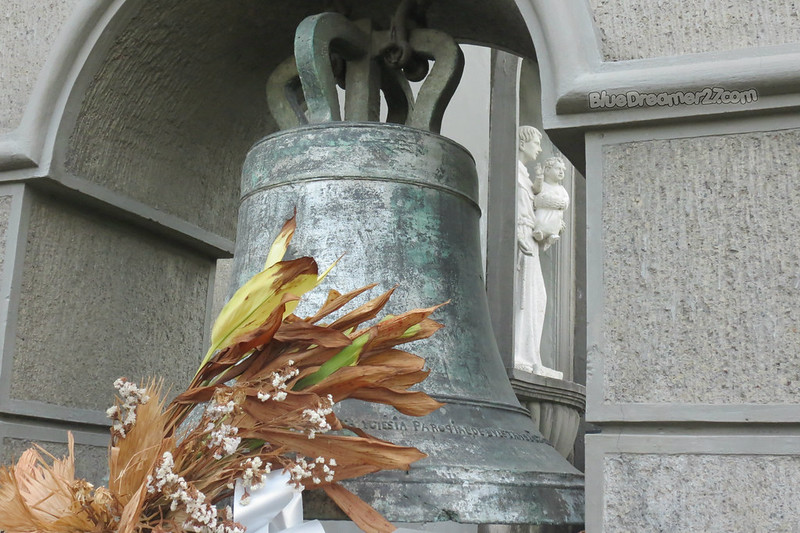 IMG_1223t