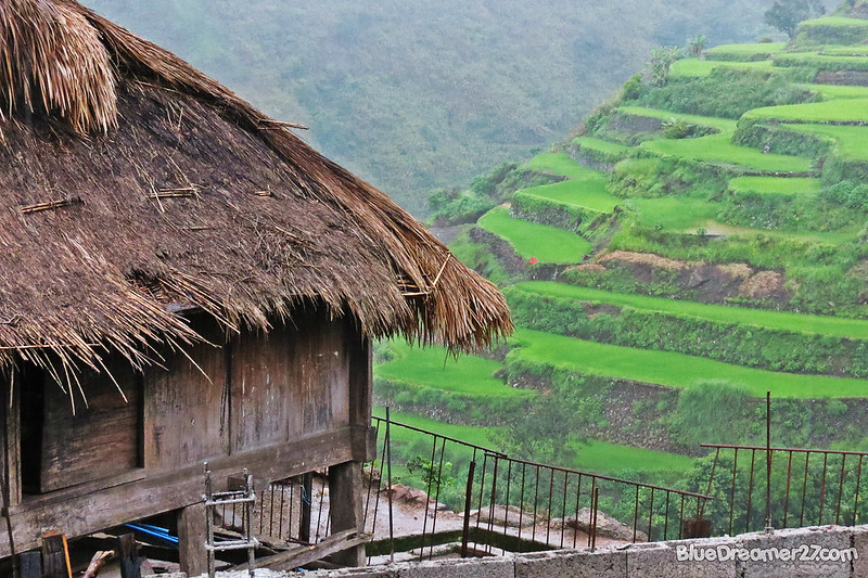 IMG_3872t
