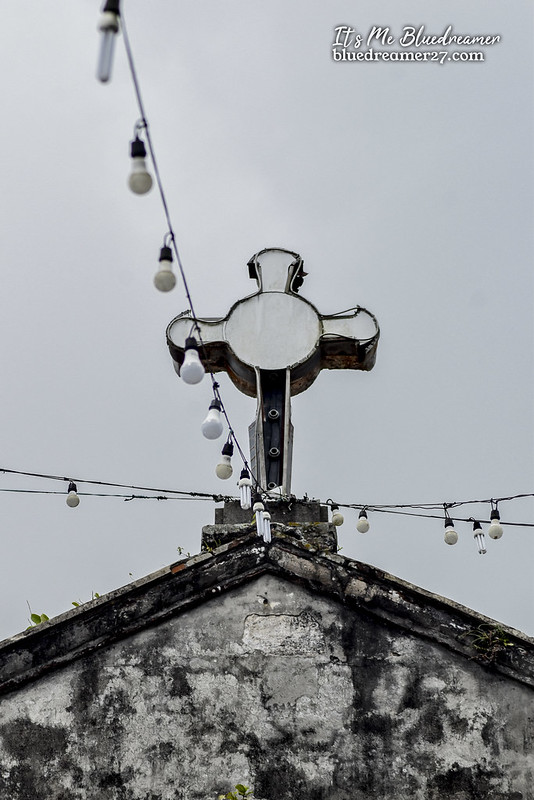 _DSC0372t