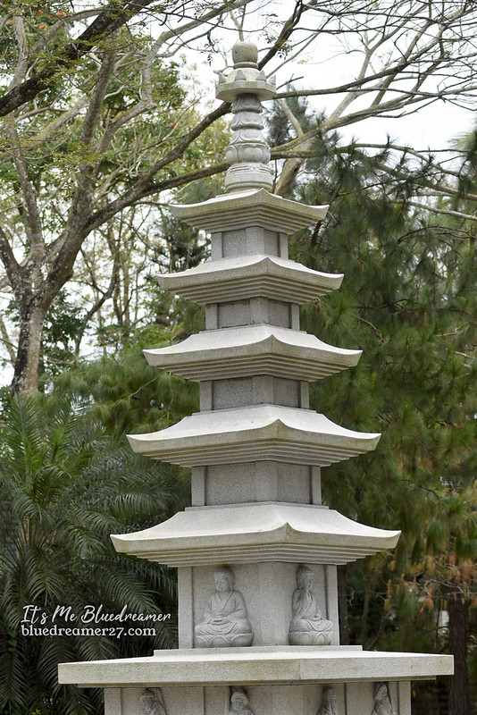 _DSC0499t