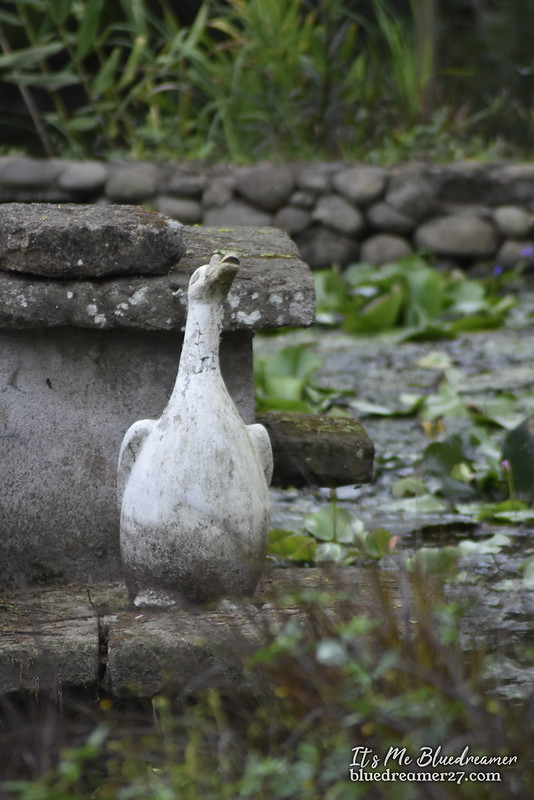 _DSC0490t
