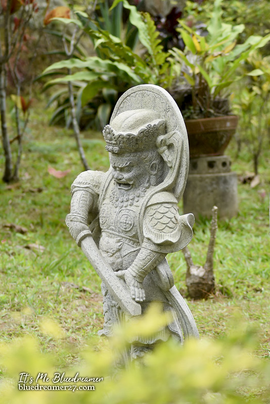 _DSC0506t