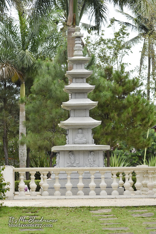 _DSC0491t