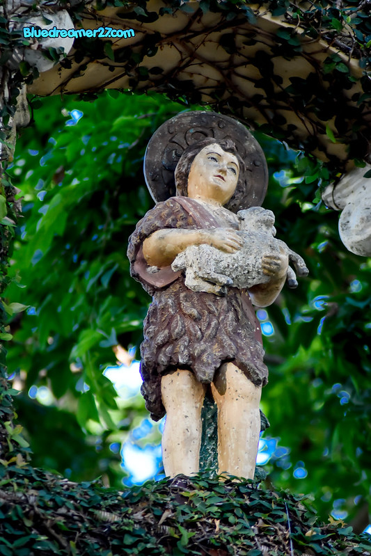 _DSC0405t
