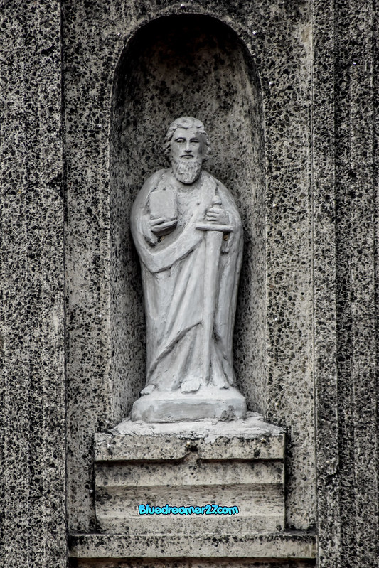 _DSC0334t