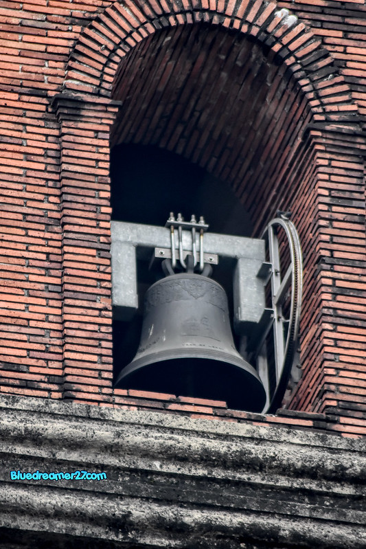 _DSC0329t