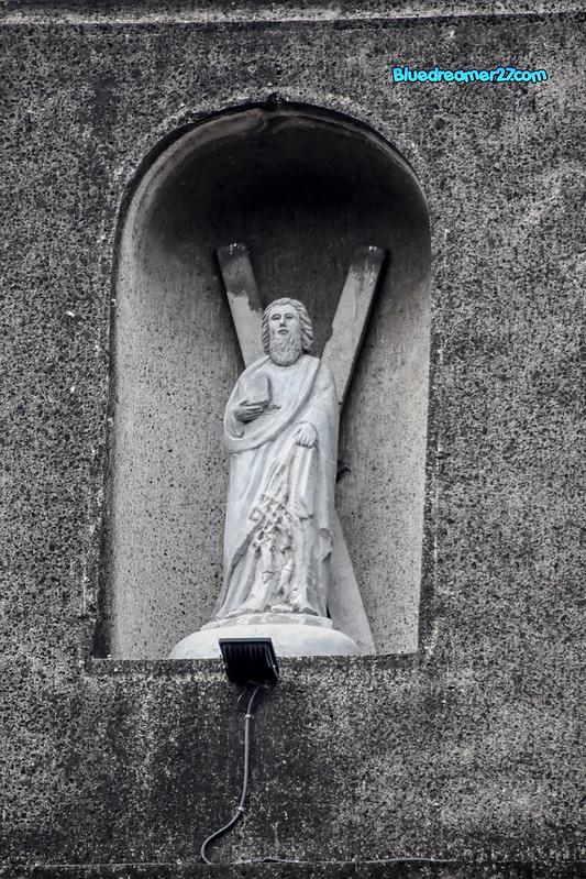 _DSC0327t