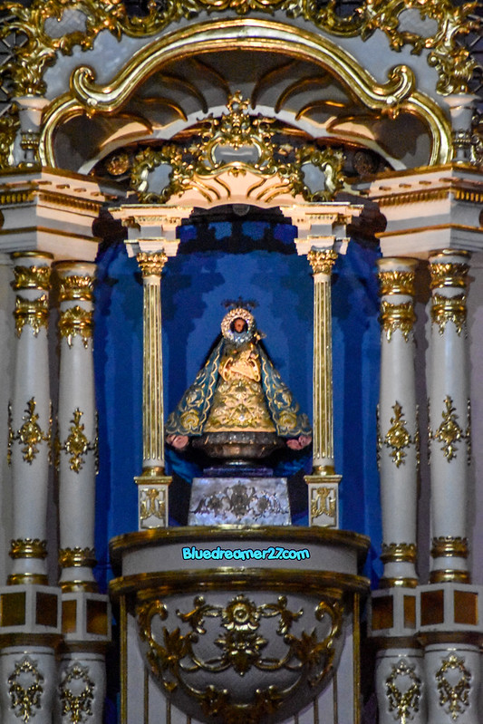 _DSC0307t