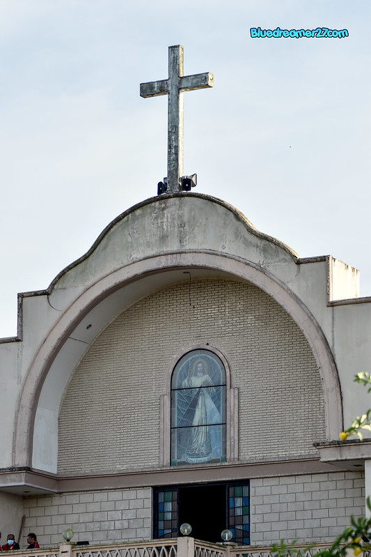 _DSC0595t