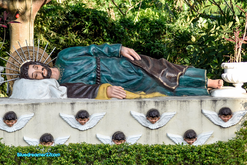 _DSC0585t
