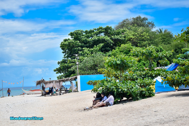 _DSC0359t