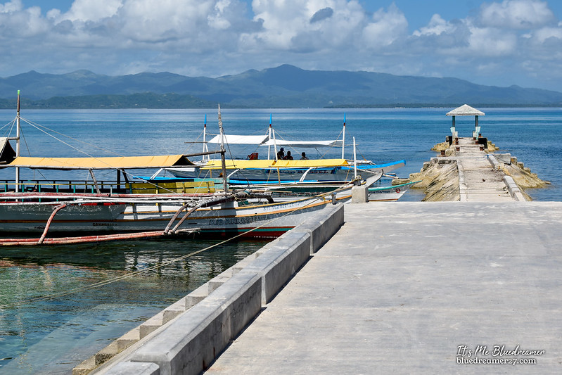 _DSC0298tt
