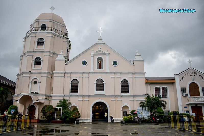 _DSC0293t