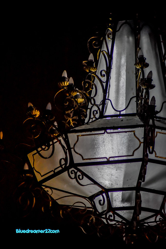 _DSC0319t