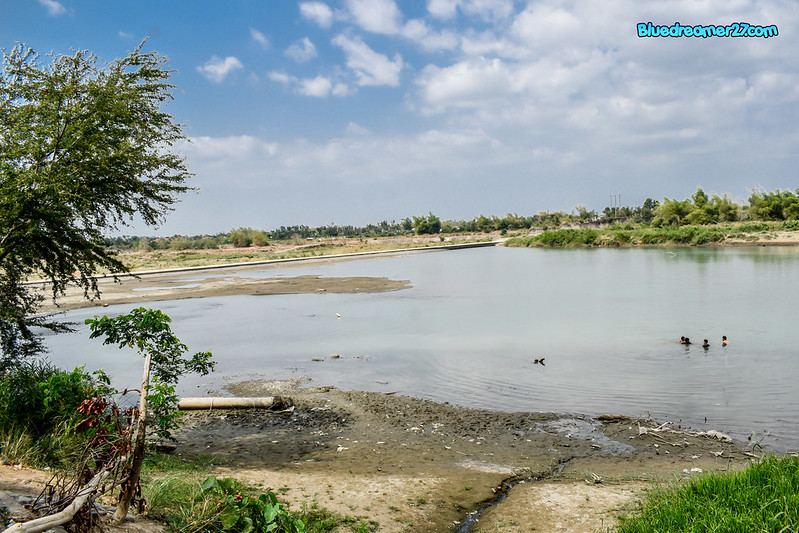 _DSC1206t