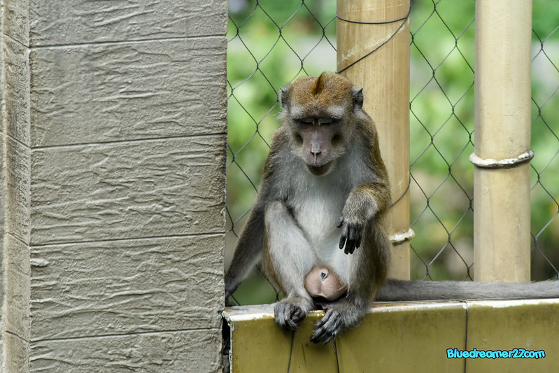 _DSC0472t