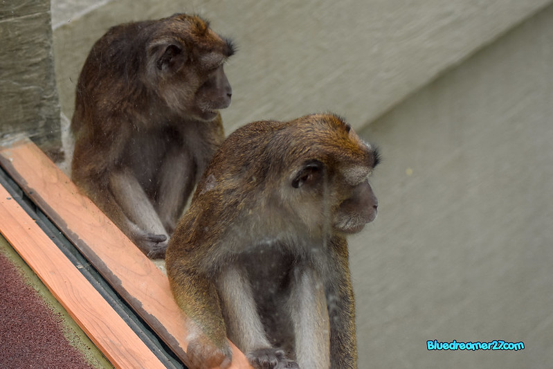 _DSC0473t