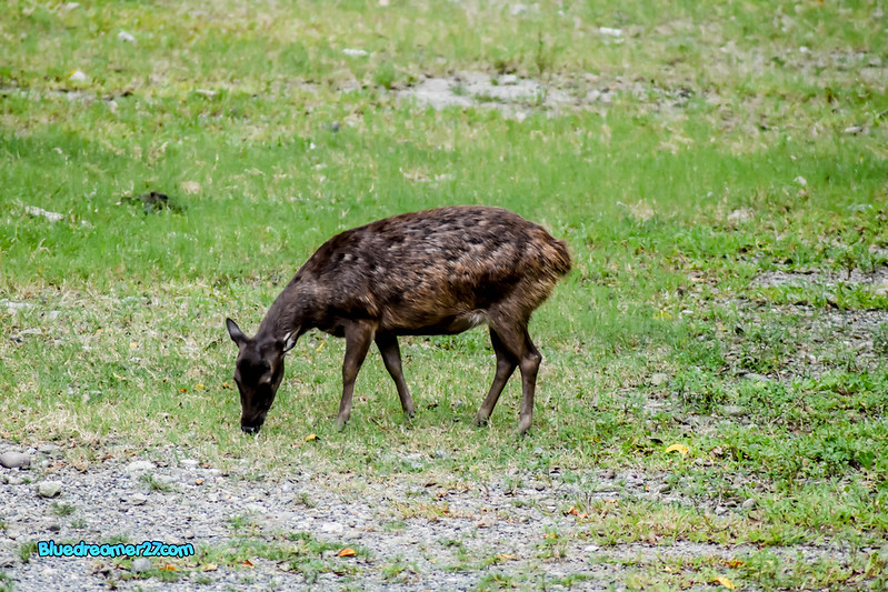_DSC0345t