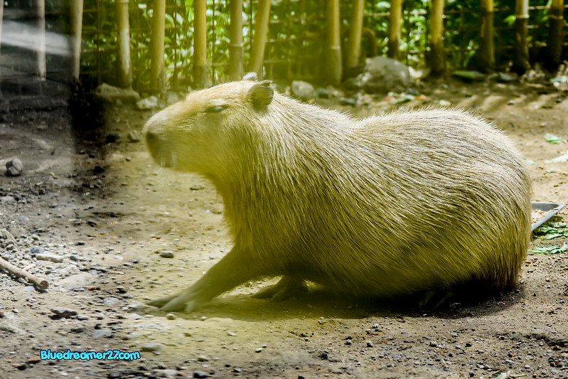 _DSC0314t