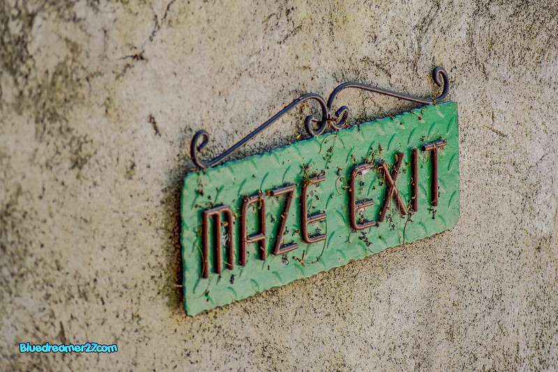 _DSC0423tt