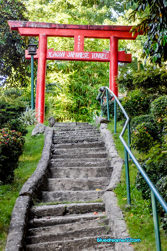 _DSC0713t