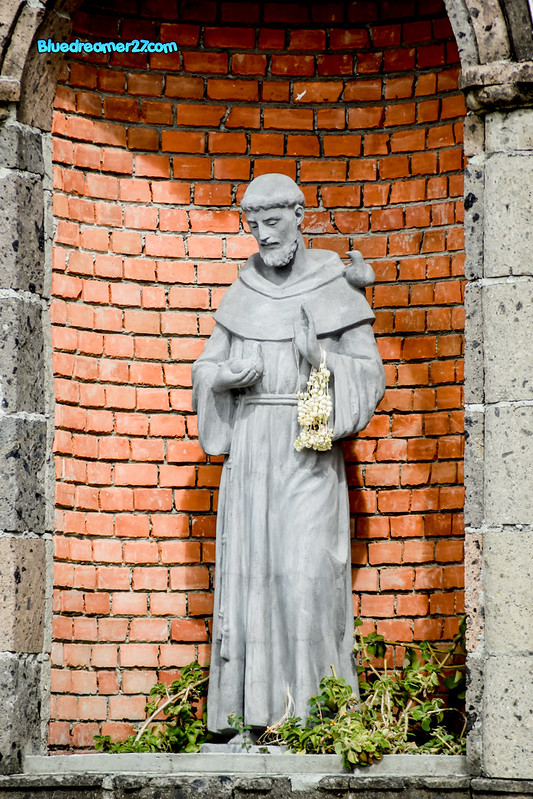 _DSC0324t