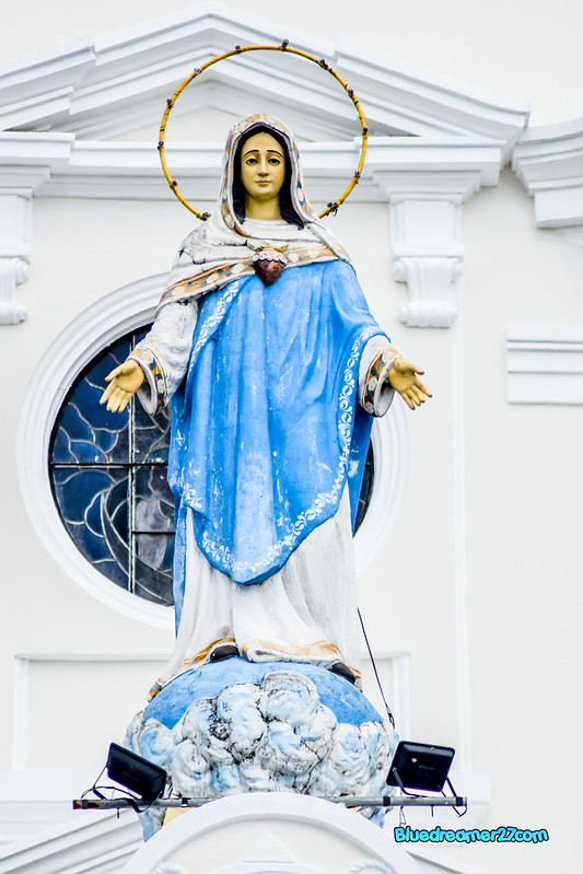 _DSC0351t