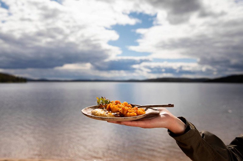 Finland_Lapland_Inari_4E5A8604 (1)